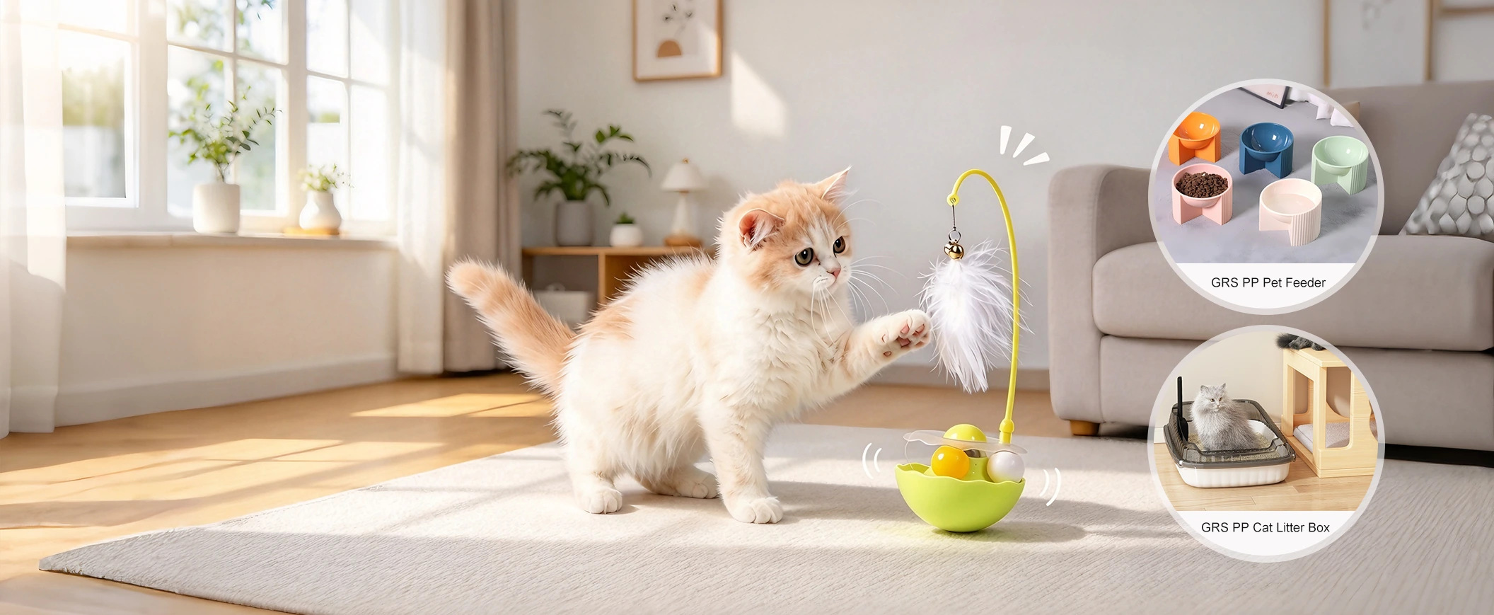 China Quality Pet Toys and Accessories Supplier China Quality Pet Toys and Accessories Supplier