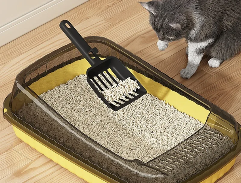 Kan GRS PP kattsandlådan lösa de största frustrationerna hos kattägare?
